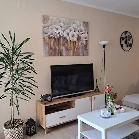Holiday Home Apartment Budva Dış mekan fotoğraf