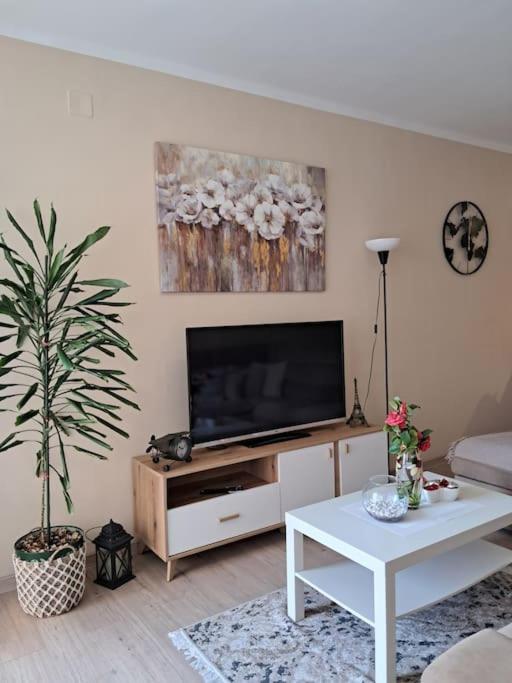 Holiday Home Apartment Budva Dış mekan fotoğraf